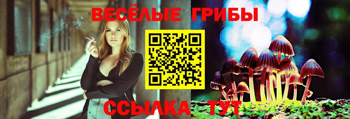 Псилоцибиновые грибы MAGIC MUSHROOMS  Вход с VPN  Строитель 